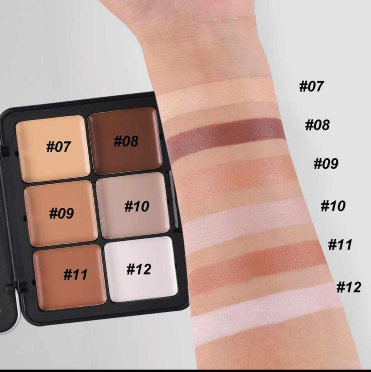 12 Color Blusher and Contour Kit