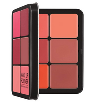 12 Color Lip & Blusher Pallate