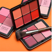 12 Color Lip & Blusher Pallate