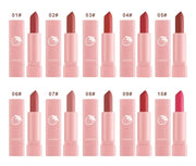 Dragon Ranee 10-Piece Velvet Matte Pink Lipstick Set